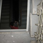 Do it yourself: Dachterrasse